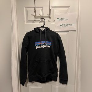 Patagonia Logo Hoodie